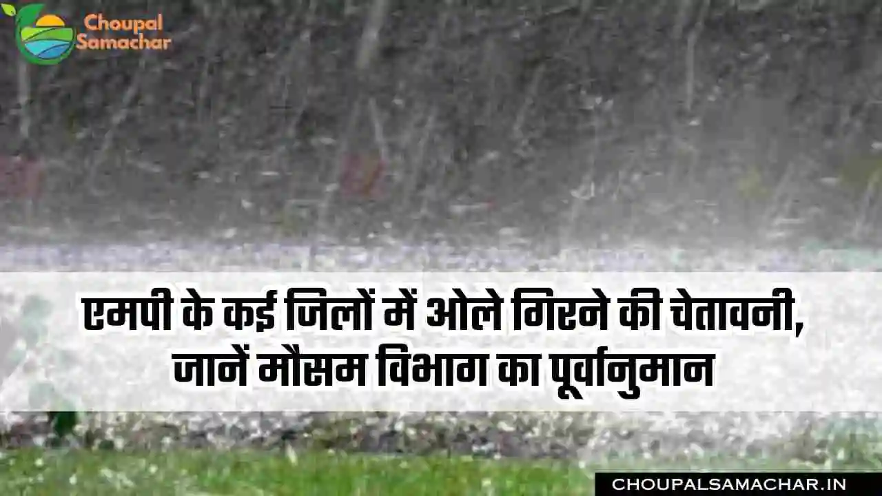 Mausam ki khabar