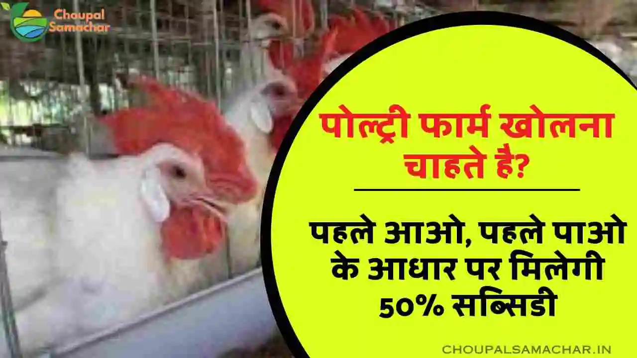 Poultry Farm Subsidy Scheme
