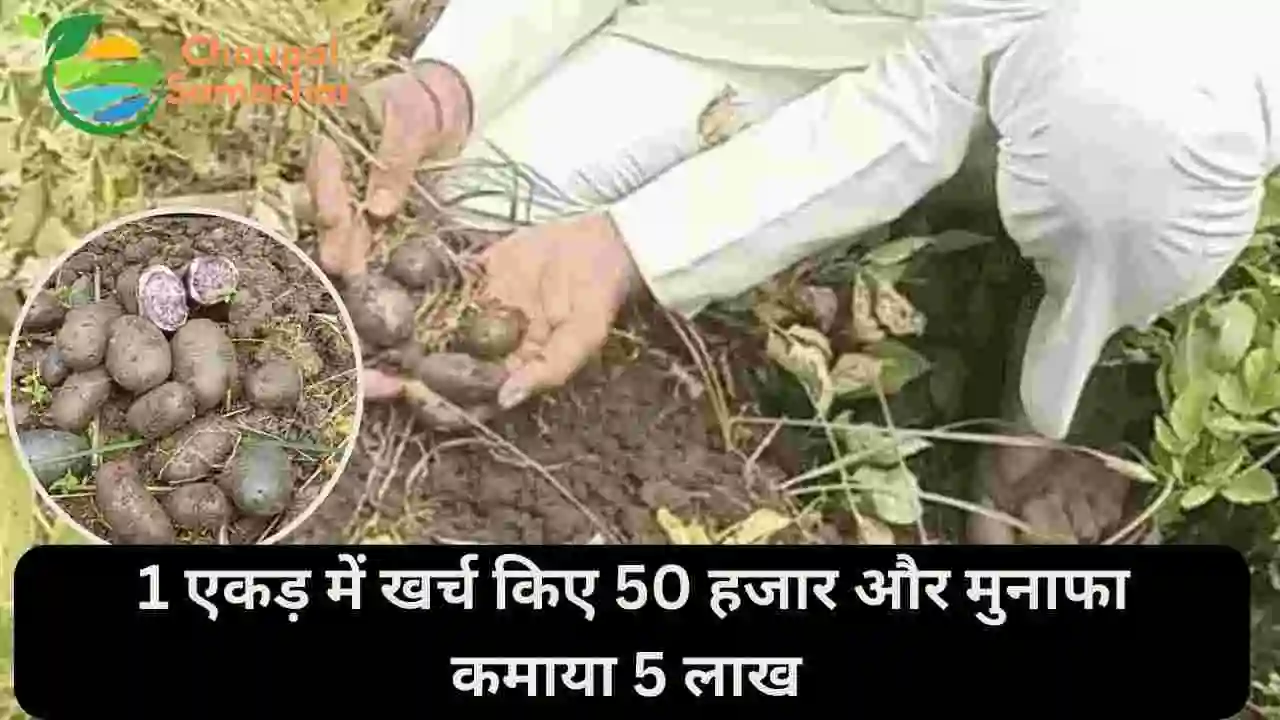 Farmer success story 