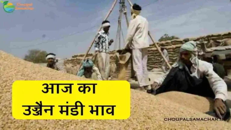 Ujjain Mandi Rate today