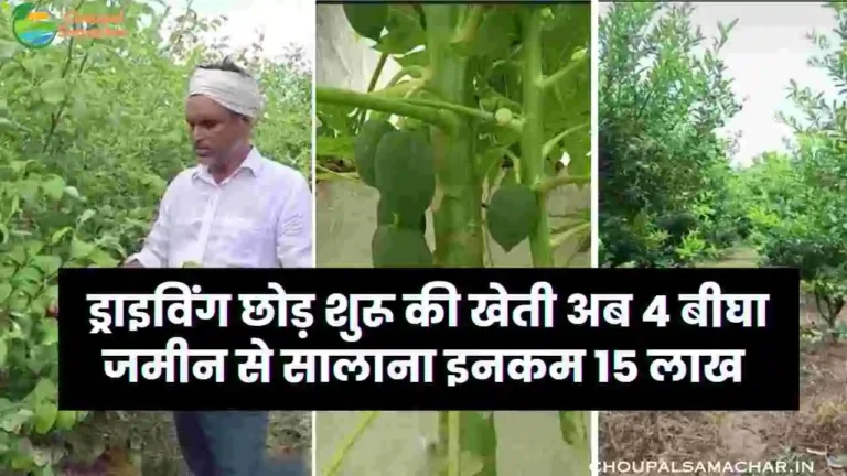 Story of successful farmer