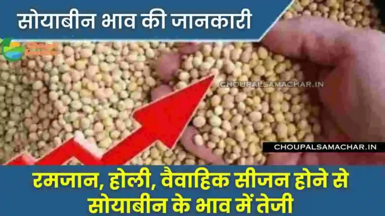 Soybean Bhav ki jankari