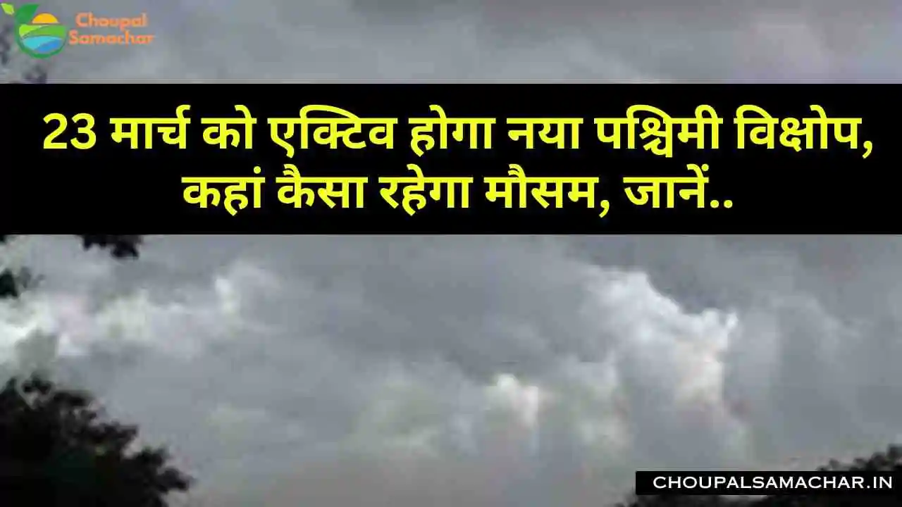 Mausam Forecast