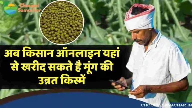 Buy Moong Variety Online