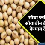 MP Soya plant rate