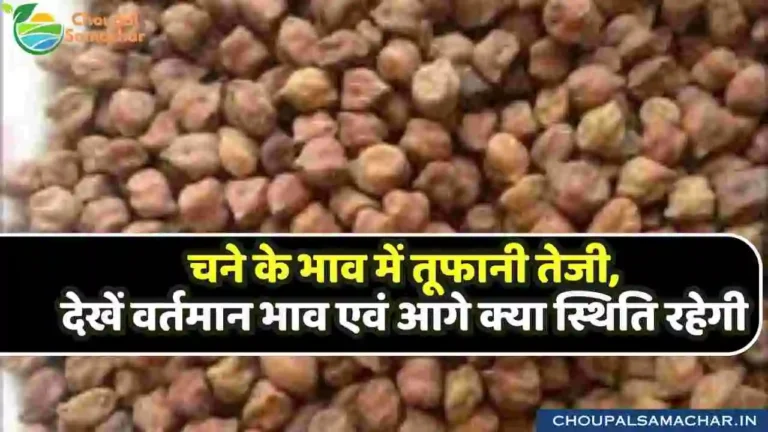 Chana Rate