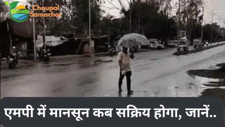 Monsoon in MP