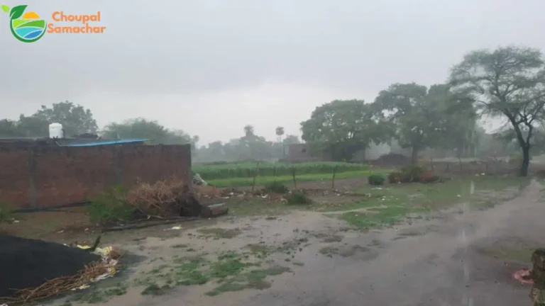 Monsoon in Delhi