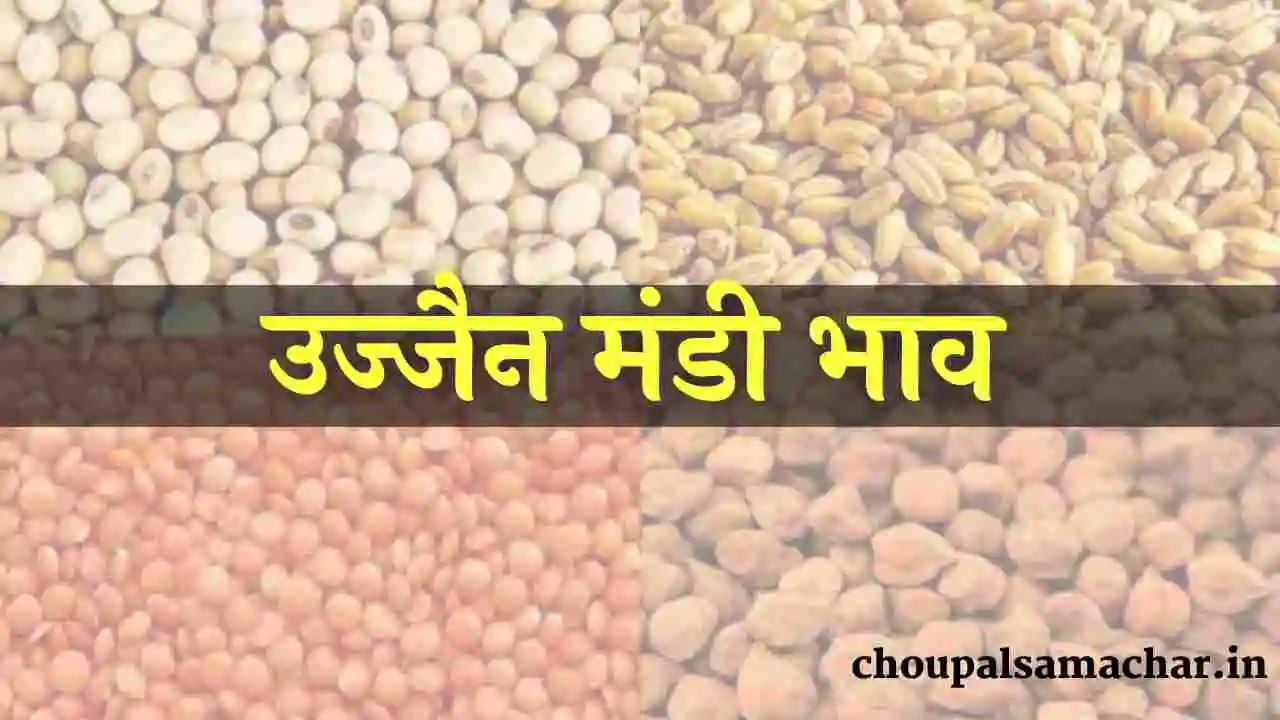 Mandi Soybean Rate Ujjain