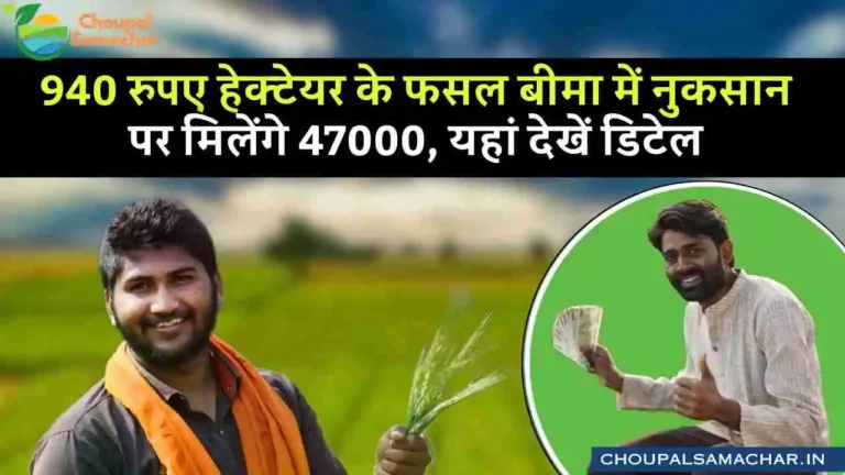 Kharif crop insurance