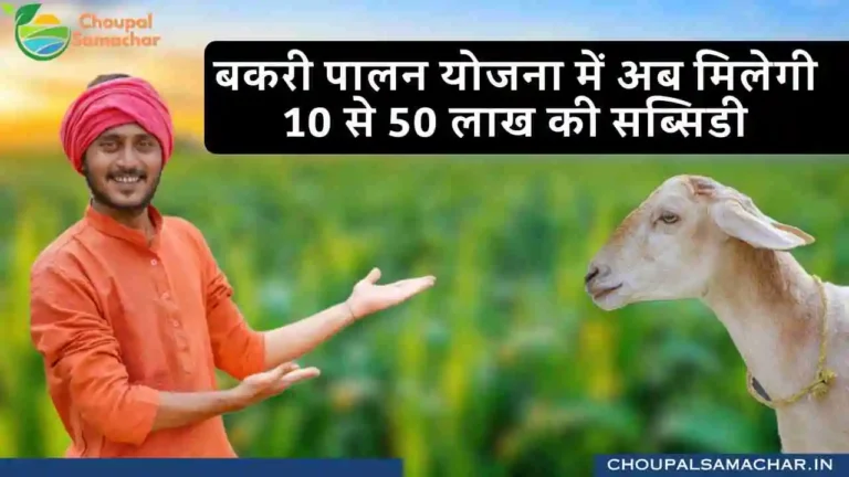 Bakri palan Subsidy Scheme