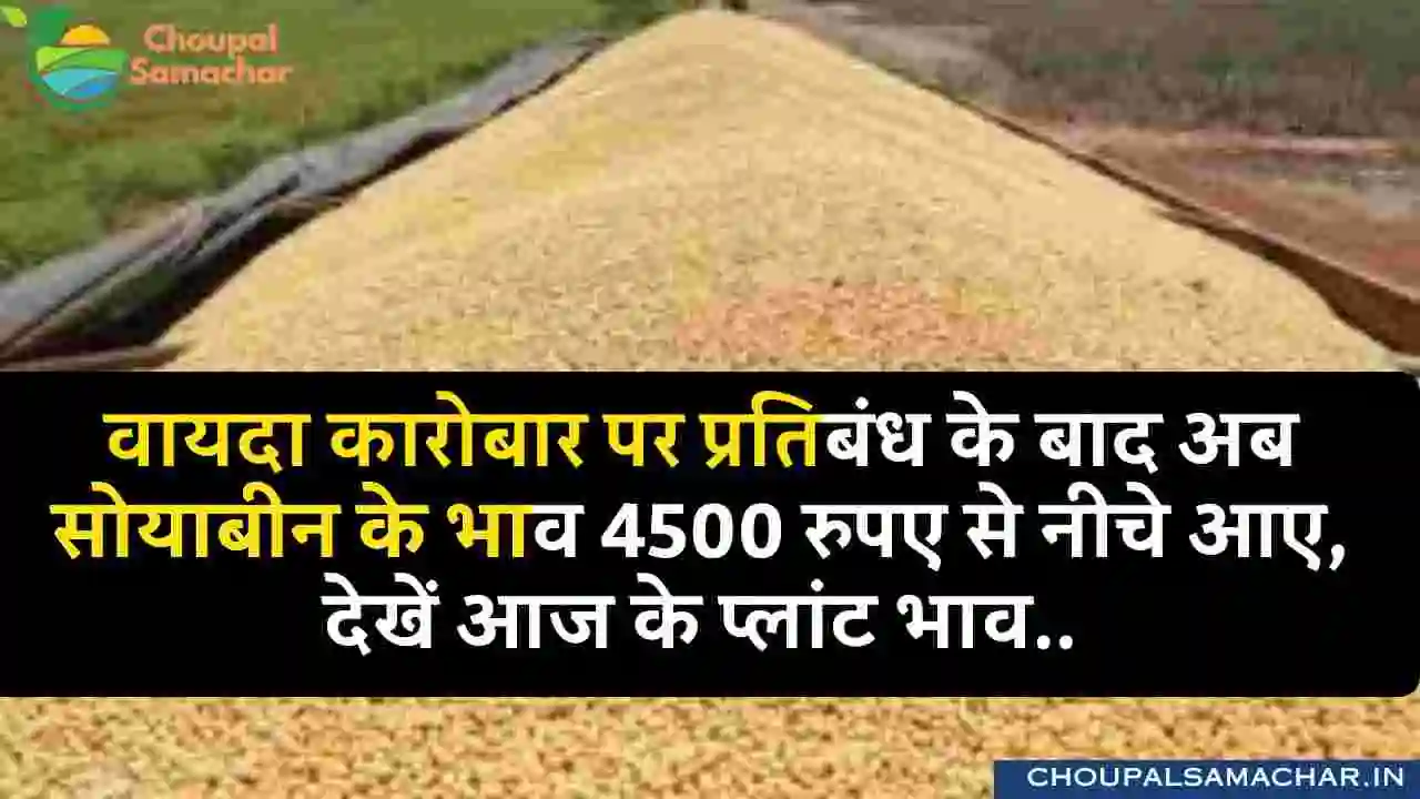 Soyabean rate