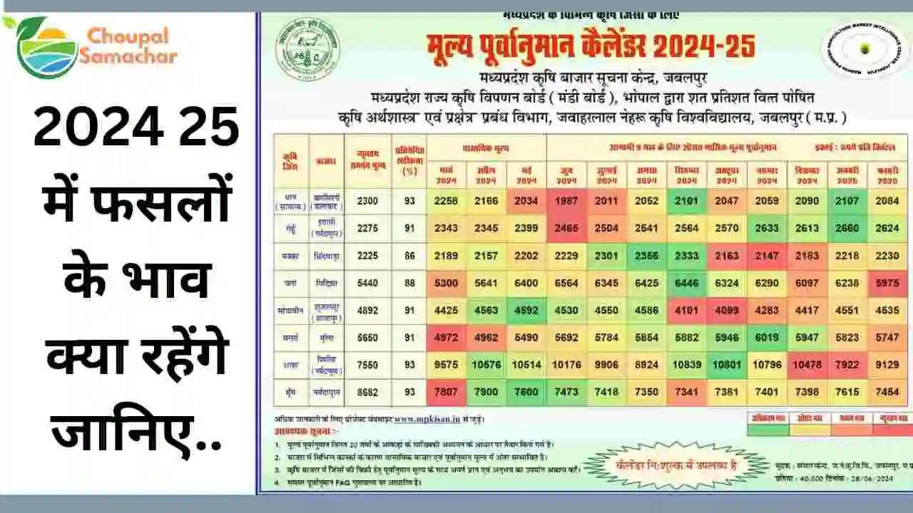 Crop price forecast 2024-25