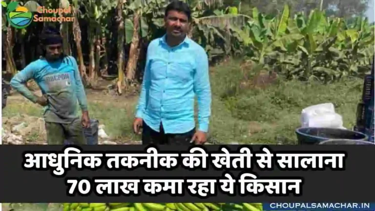 Success Story Farmer