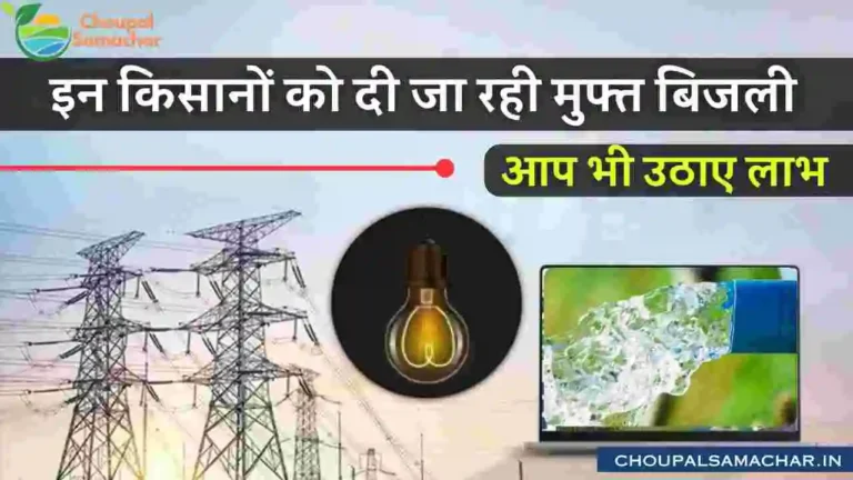 Free bijli Yojana Apply