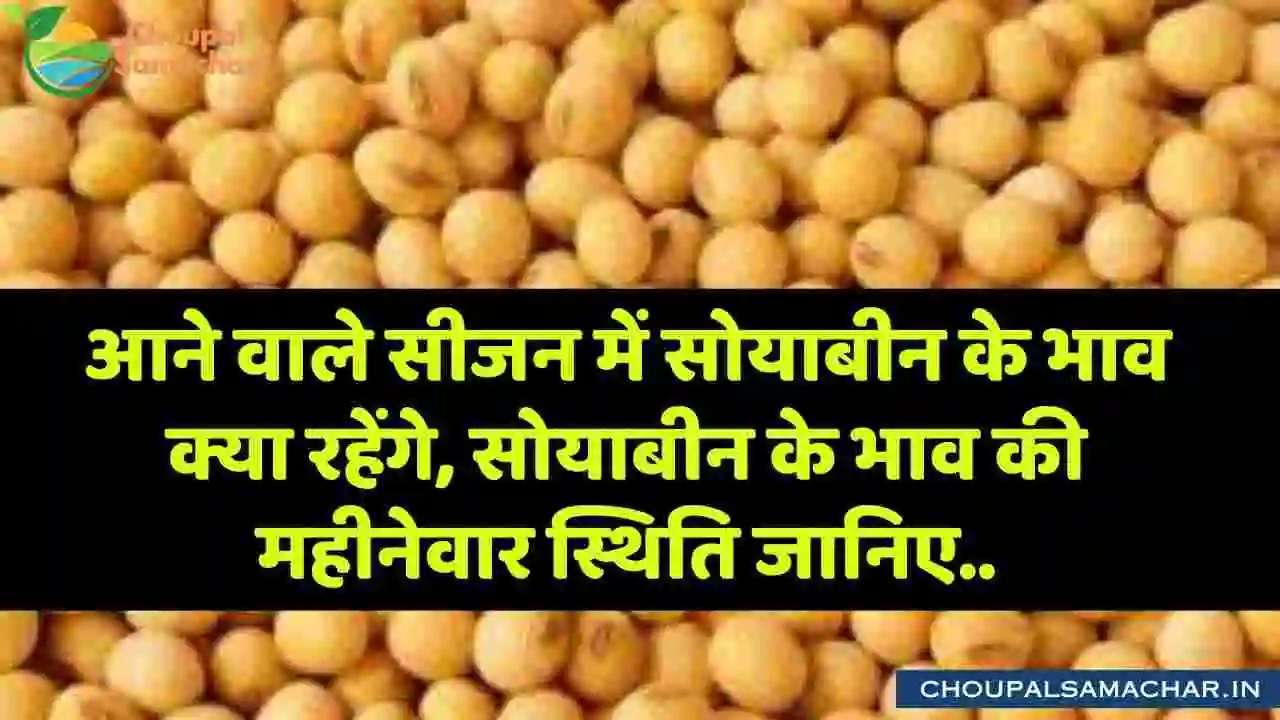 Soybean bhav