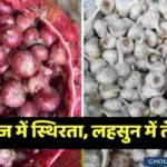 Indore Mandi Onion Garlic