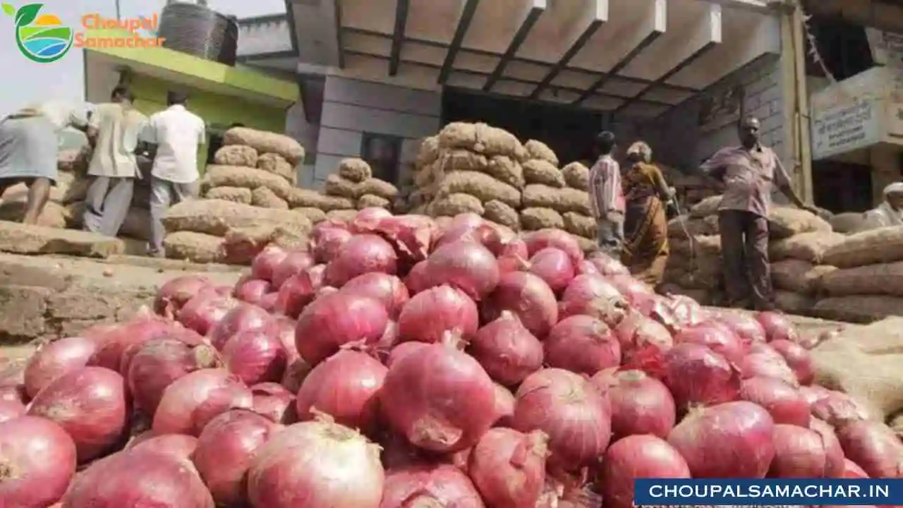 Onion Garlic Price Today