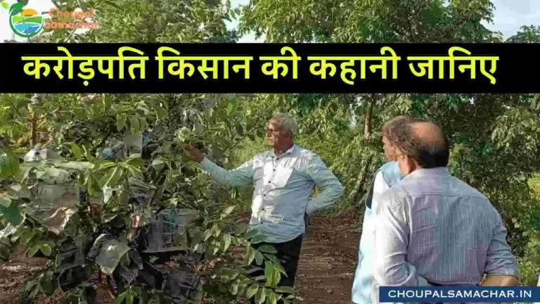 Crorepati Farmer