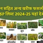 Kharif MSP List 2025