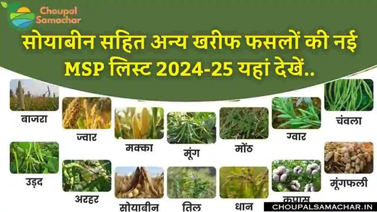 Kharif MSP List 2025