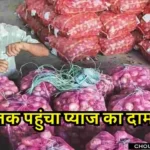 Garlic Onion Mandi Rate