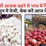 Onion Garlic Price