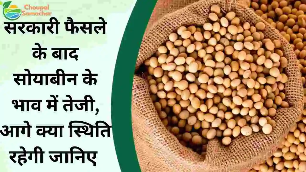 Soyabean Rate