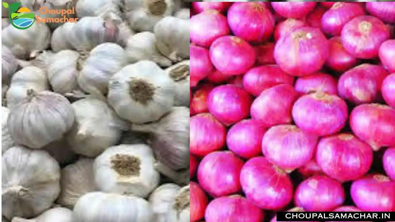 Garlic Onion Price