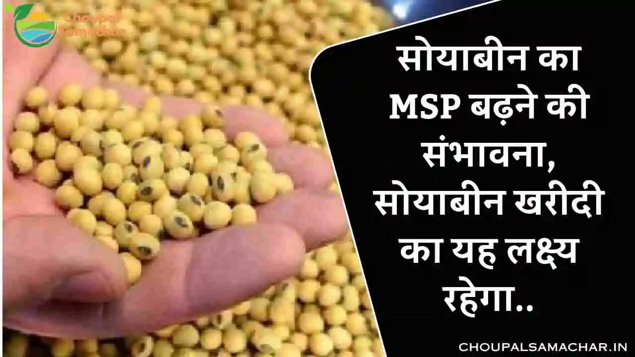 Soybean MSP Procurement