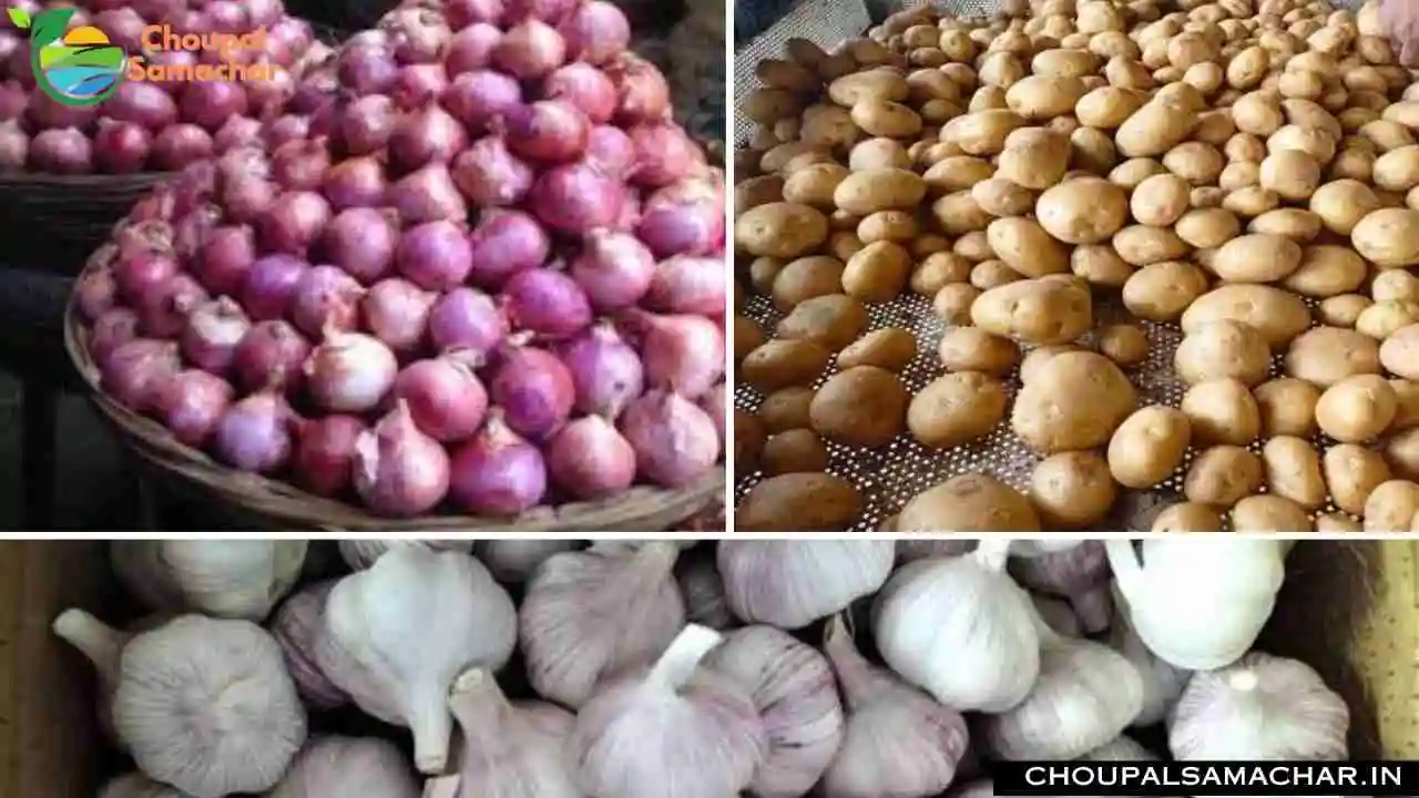 Onion Garlic