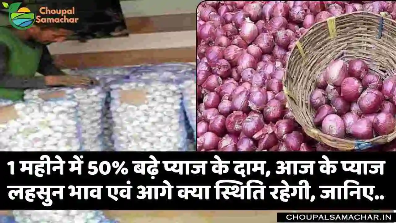 Onion Garlic Price