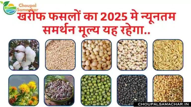 Kharif Crops MSP 2025