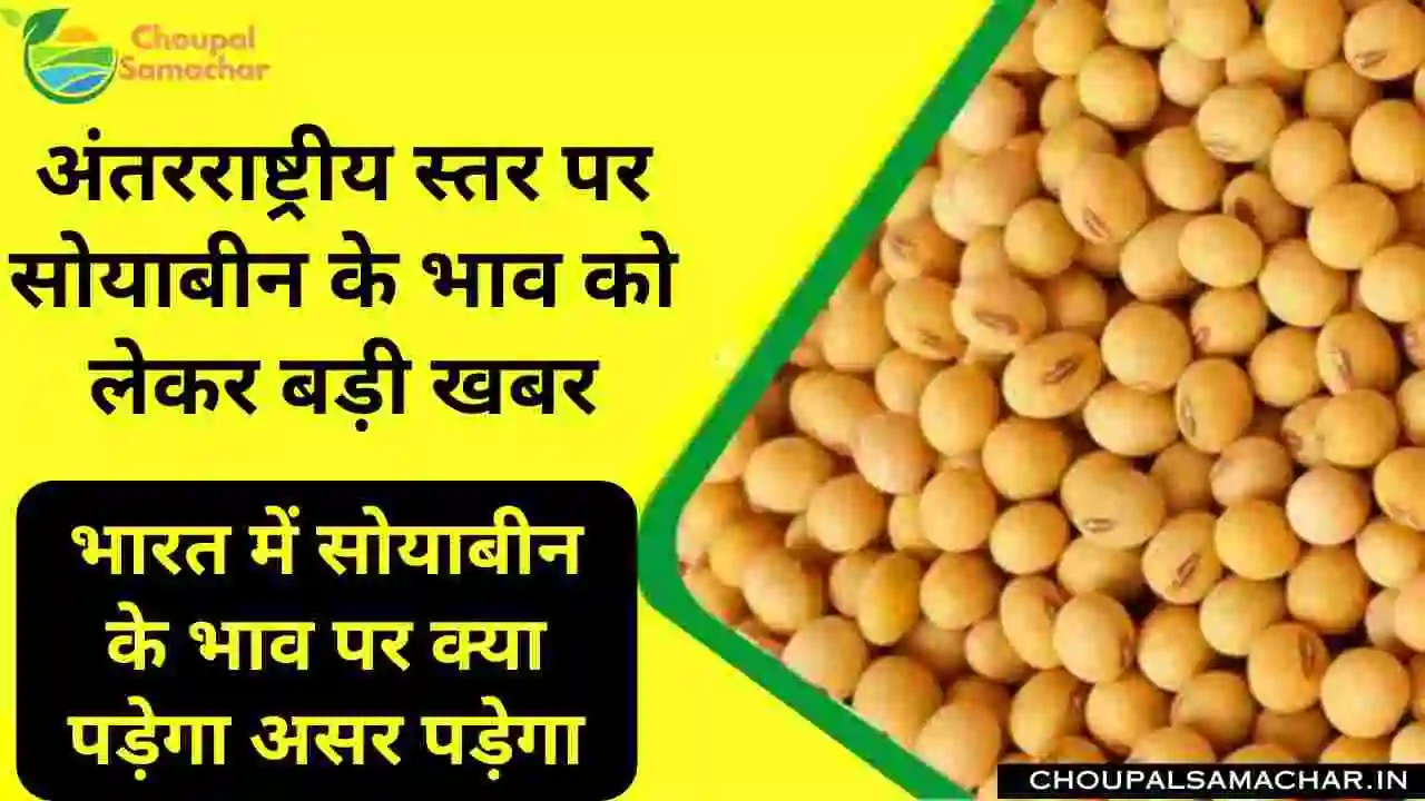 Soybean Price