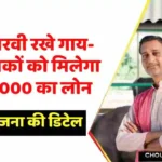 Dev Loan Scheme