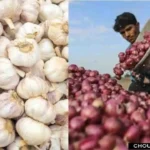 Onion Garlic Price