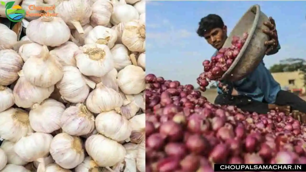 Onion Garlic Price