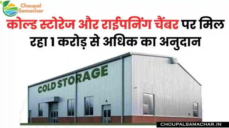 Cold Storage Subsidy