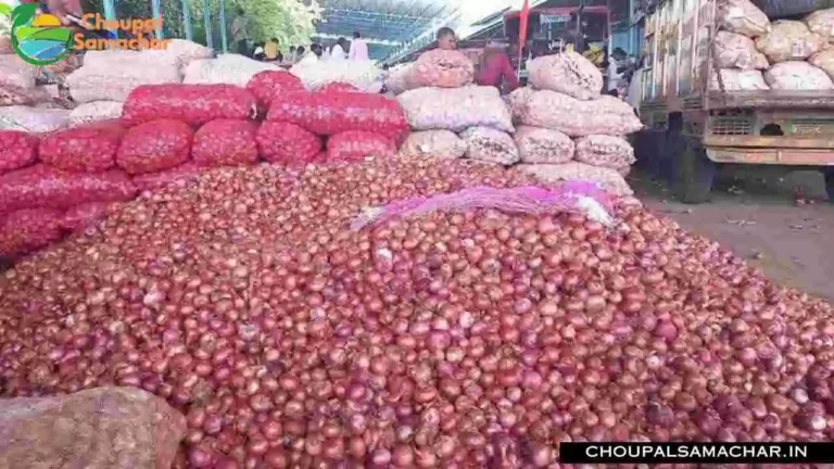 Onion Garlic Mandi Rate