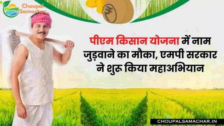 PM Kisan Scheme