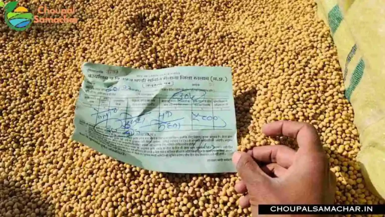Soybean Price