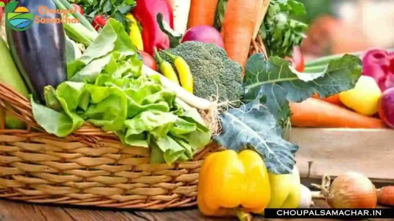 Vegetable Farming in December