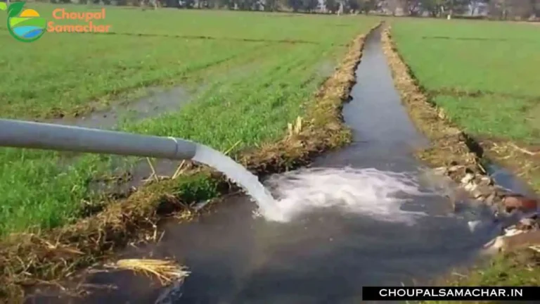 Rabi Crop Irrigation