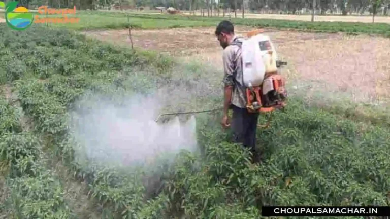 Nano Urea