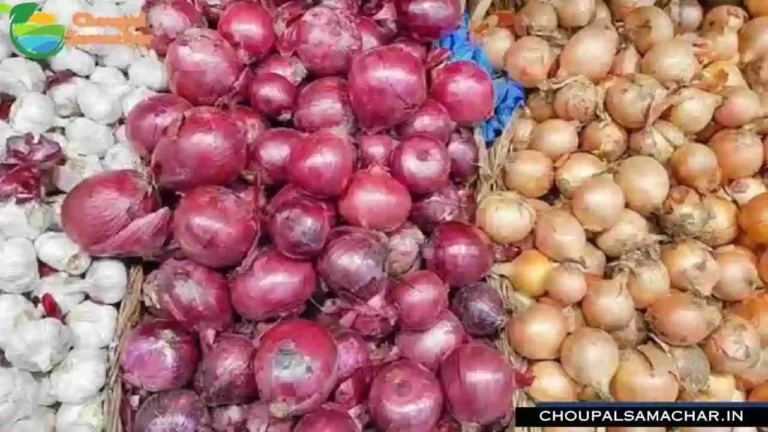 Commodities Mandi Rate