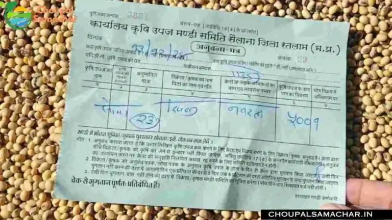 Soybean Rate