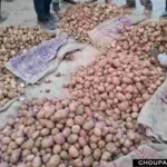 Potato Price