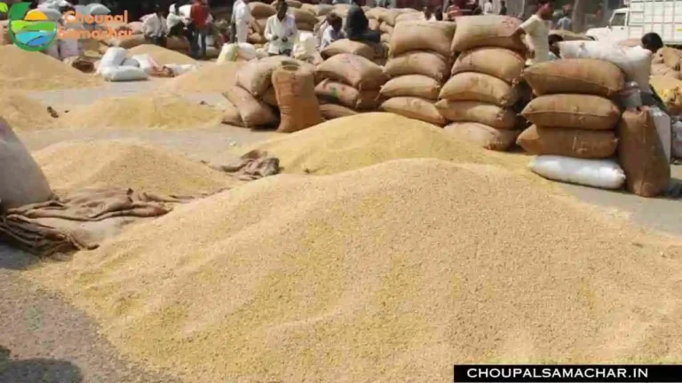 Soybean Price