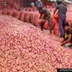 Onion Garlic Mandi Price