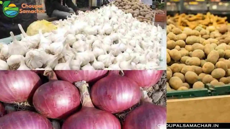 Onion Garlic Mandi Price